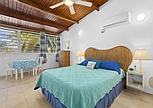 Bonaire Villa Master Bedroom